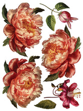 Load image into Gallery viewer, IOD Collage de Fleurs 12 x 16 Transfer Pad