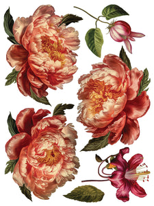 IOD Collage de Fleurs 12 x 16 Transfer Pad