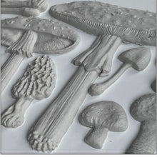 Load image into Gallery viewer, IOD Toadstool Mushroom Mould