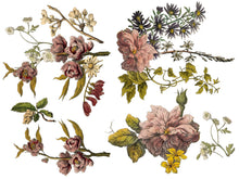 Load image into Gallery viewer, IOD Floral Anthology Transfer