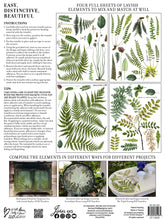 Load image into Gallery viewer, Fronds Botanical IOD 12 x 16 Transfer Pad