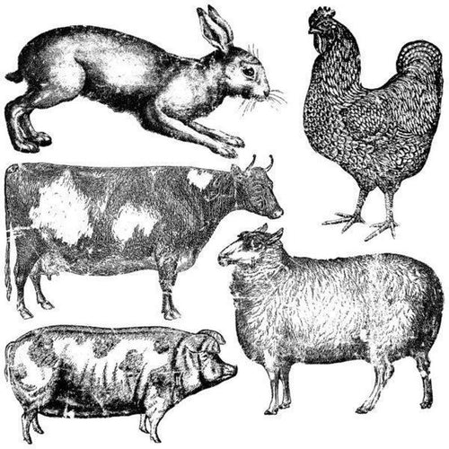Farm Animals 12x12 IOD Decor Stamps