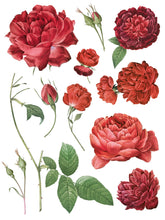 Load image into Gallery viewer, IOD Redoute II Floral Transfer