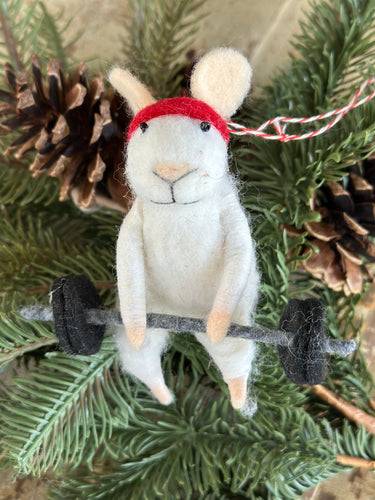 Wool Felt Mouse Exercise Weight