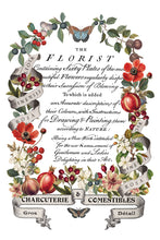 Load image into Gallery viewer, IOD Clementine 8 x 12 Transfer