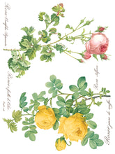 Load image into Gallery viewer, Rose Botanical IOD Transfer 12 x 16 Pad