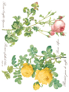 Rose Botanical IOD Transfer 12 x 16 Pad