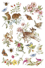Load image into Gallery viewer, The Bramblewood Diaries
Transfer | 8 Pages | 8” x 12” | Full Color