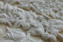 Load image into Gallery viewer, Hazel &amp; Bay
Mould | 6” x 10