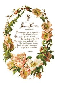 IOD Lover of Flowers 8x 12 transfer Pad