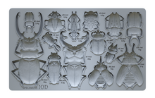 Load image into Gallery viewer, IOD Specimens 6x10 Mould
