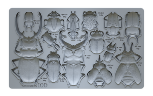 IOD Specimens 6x10 Mould