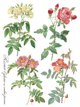 Load image into Gallery viewer, Rose Botanical IOD Transfer 12 x 16 Pad