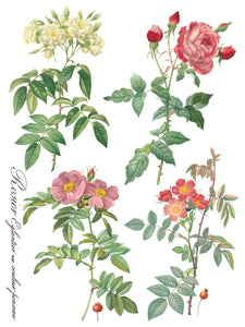 Rose Botanical IOD Transfer 12 x 16 Pad