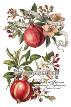 Load image into Gallery viewer, IOD Clementine 8 x 12 Transfer