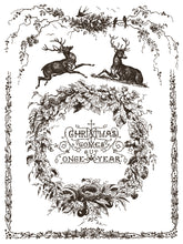 Load image into Gallery viewer, IOD Twelfth Night Paint Inlay