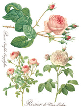 Load image into Gallery viewer, Rose Botanical IOD Transfer 12 x 16 Pad