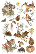 Load image into Gallery viewer, The Bramblewood Diaries
Transfer | 8 Pages | 8” x 12” | Full Color