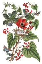 Load image into Gallery viewer, IOD Clementine 8 x 12 Transfer