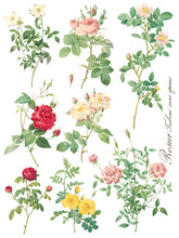 Load image into Gallery viewer, Rose Botanical IOD Transfer 12 x 16 Pad