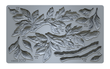 Load image into Gallery viewer, IOD Viridis 6x10 Mould