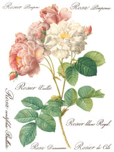 Load image into Gallery viewer, Rose Botanical IOD Transfer 12 x 16 Pad