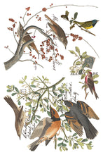 Load image into Gallery viewer, Winter's Calling
Transfer | 8 Pages | 8” x 12” | Full Color