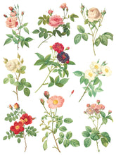 Load image into Gallery viewer, Rose Botanical IOD Transfer 12 x 16 Pad