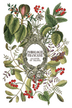 Load image into Gallery viewer, IOD Clementine 8 x 12 Transfer