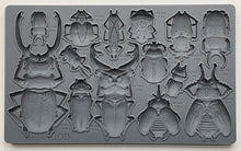 Load image into Gallery viewer, IOD Specimens 6x10 Mould