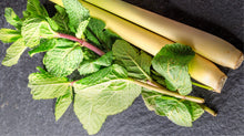 Load image into Gallery viewer, Lemongrass Mint White Balsamic Vinegar