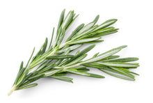 Load image into Gallery viewer, Rosemary Fused Olive Oil