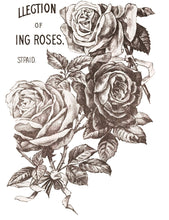 Load image into Gallery viewer, IOD May’s Roses Transfer Set