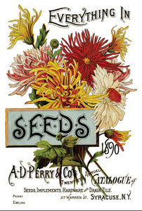 IOD Seed Catalogue Transfer Set