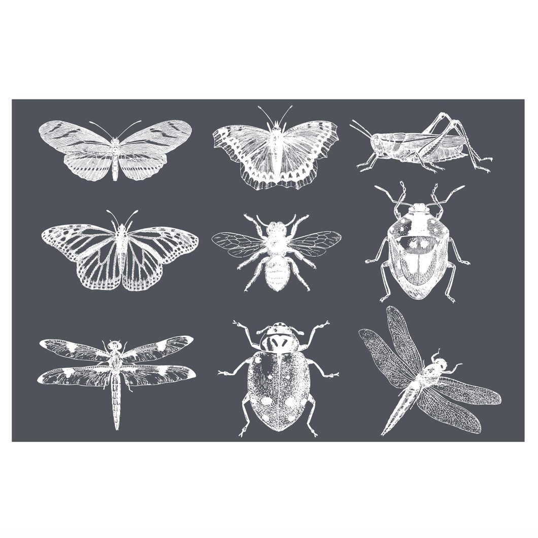 Mesh Stencil - Garden Insects 18x12