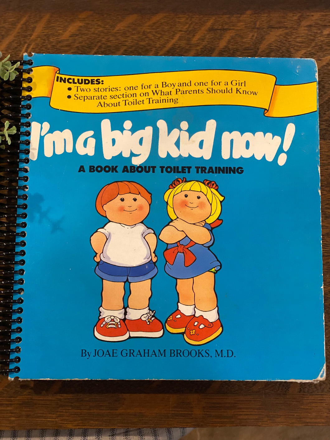 I’m a Big Kid Now Book Journal