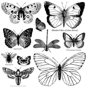 Butterflies 12x12 IOD Decor Stamps