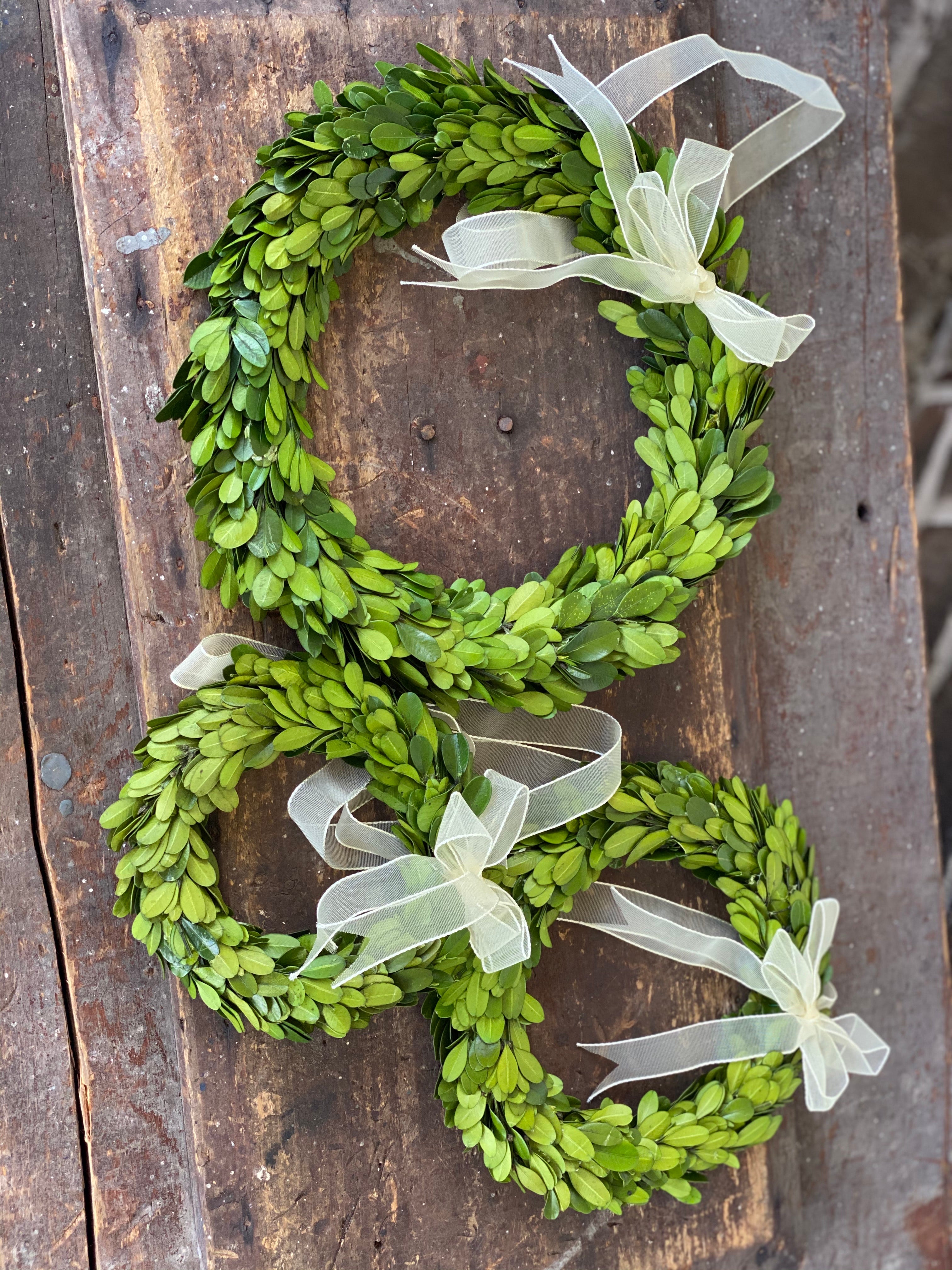 Southern Boxwood Wreath – Frill Seekers Gifts