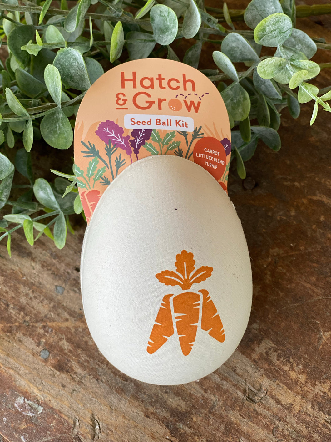 Hatch and Grow Seed Kit Veggie