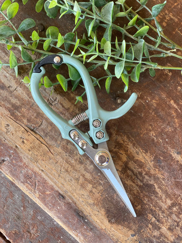 Garden Shears