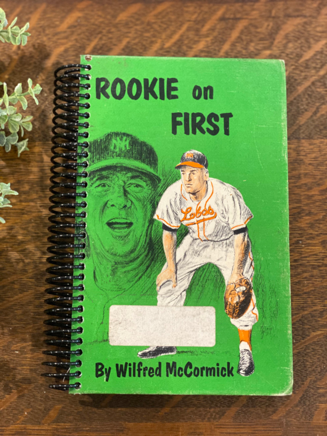 Rookie on First Book Journal