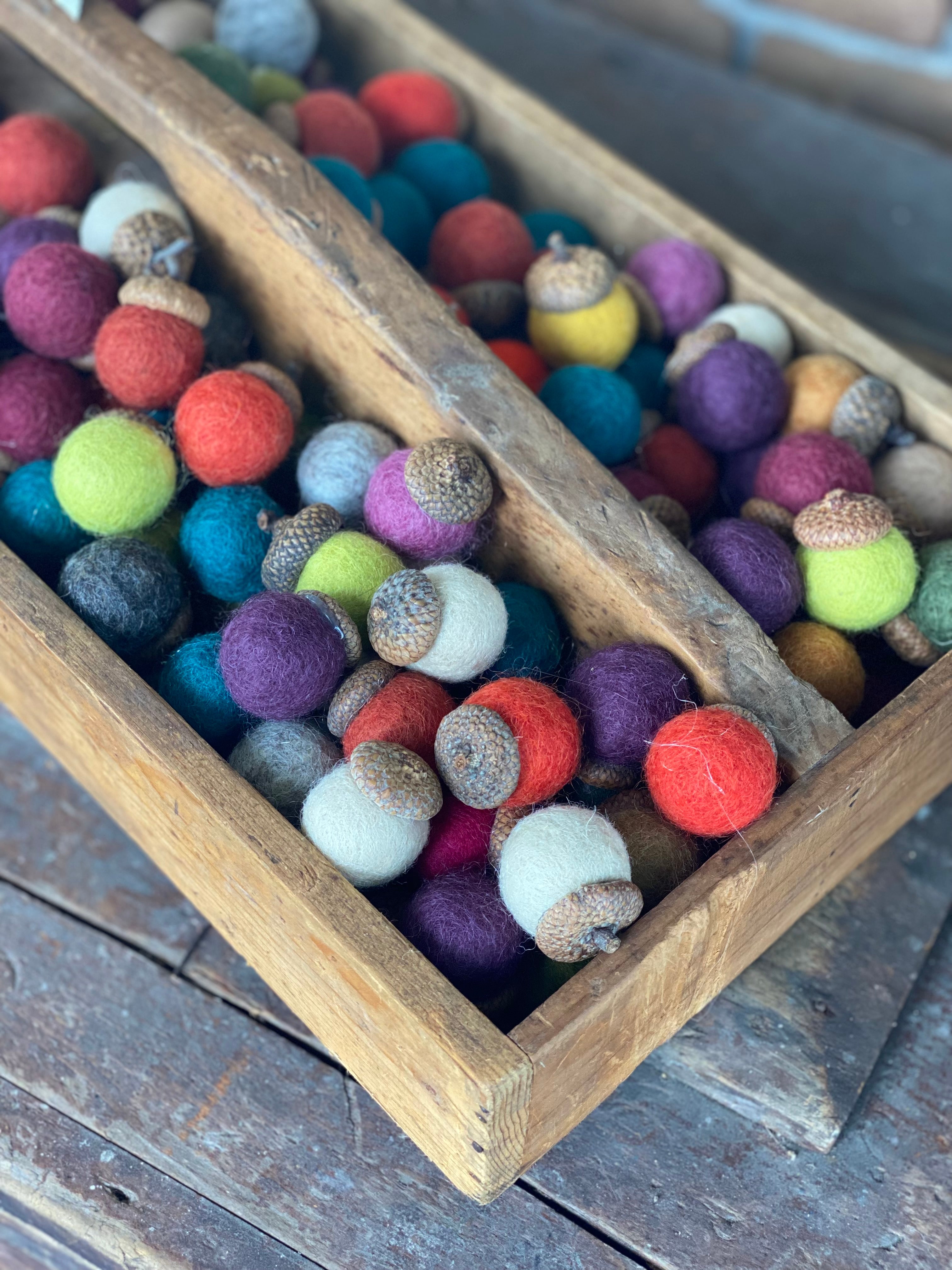 Acorns