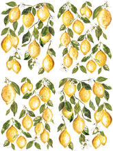 Load image into Gallery viewer, Lemon Drops IOD Transfer 12 x 16 Pad