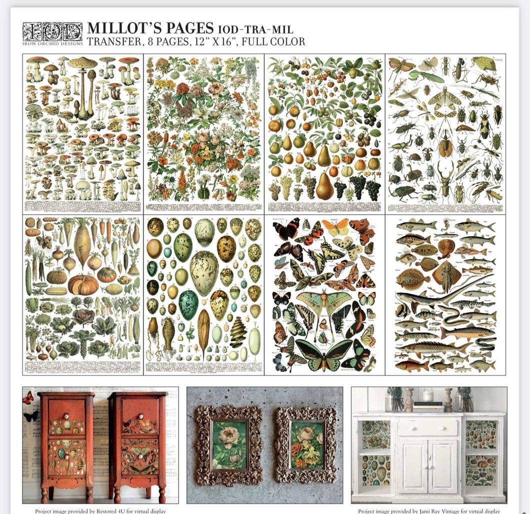 IOD Millot’s Pages Transfer Set