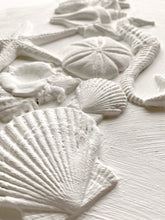 Load image into Gallery viewer, Sea Shells 6 x 10 IOD Decor Moulds